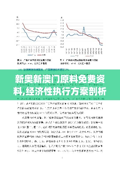 新奥新澳门原料免费资料,经济性执行方案剖析_XR173.304-1