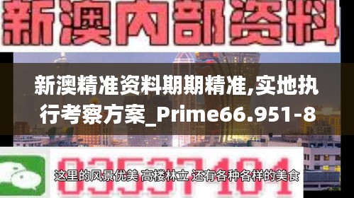 新澳精准资料期期精准,实地执行考察方案_Prime66.951-8