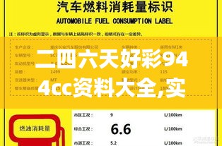 二四六天好彩944cc资料大全,实效设计解析策略_MT47.738-3