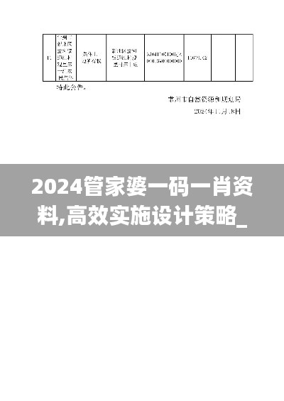 2024管家婆一码一肖资料,高效实施设计策略_kit68.823-1