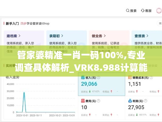 管家婆精准一肖一码100%,专业调查具体解析_VRK8.988计算能力版