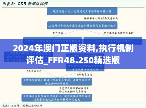 2024年澳门正版资料,执行机制评估_FFR48.250精选版