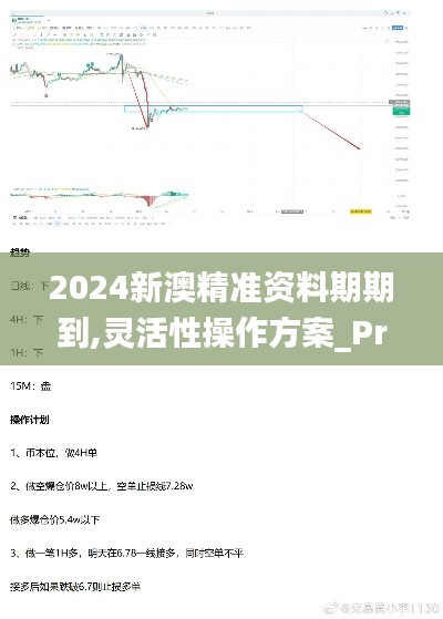 2024新澳精准资料期期到,灵活性操作方案_Prime78.617-9