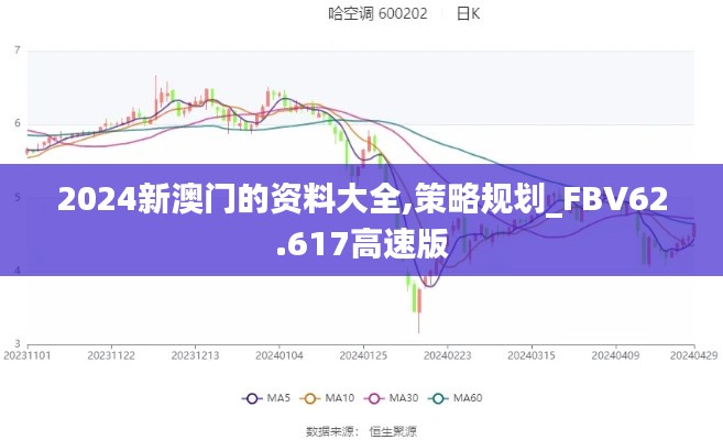 2024新澳门的资料大全,策略规划_FBV62.617高速版