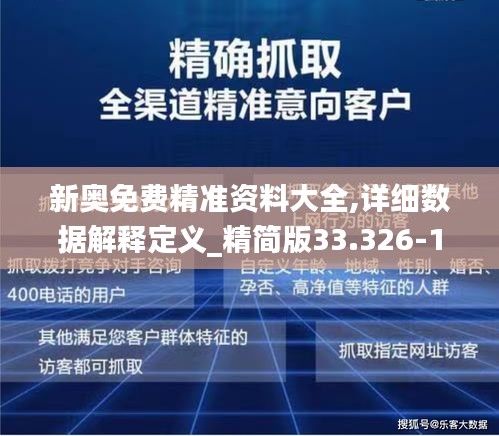 新奥免费精准资料大全,详细数据解释定义_精简版33.326-1