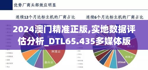 2024澳门精准正版,实地数据评估分析_DTL65.435多媒体版