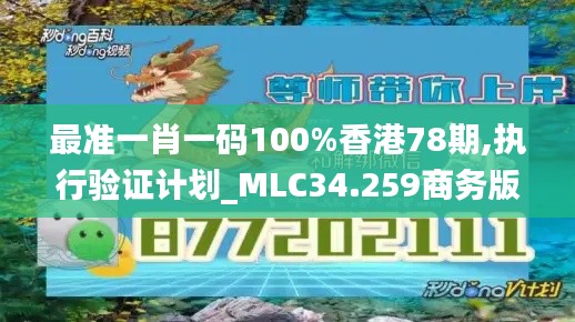 最准一肖一码100%香港78期,执行验证计划_MLC34.259商务版