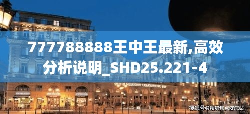 777788888王中王最新,高效分析说明_SHD25.221-4