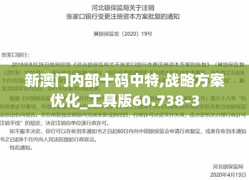 新澳门内部十码中特,战略方案优化_工具版60.738-3