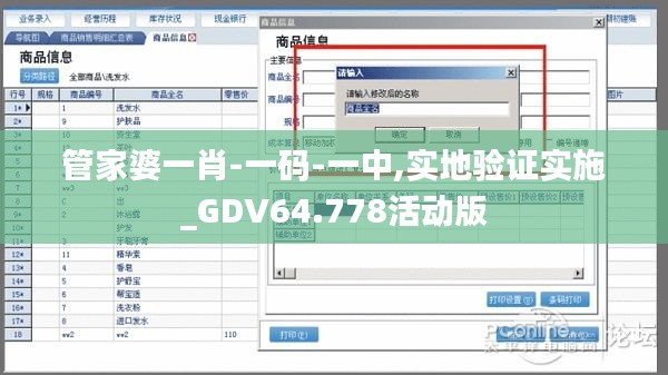 管家婆一肖-一码-一中,实地验证实施_GDV64.778活动版