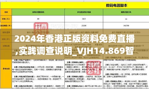 2024年香港正版资料免费直播,实践调查说明_VJH14.869智巧版