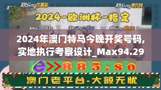 2024年澳门特马今晚开奖号码,实地执行考察设计_Max94.291-4