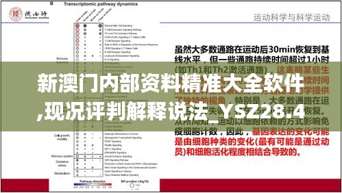 新澳门内部资料精准大全软件,现况评判解释说法_YSZ28.496随机版