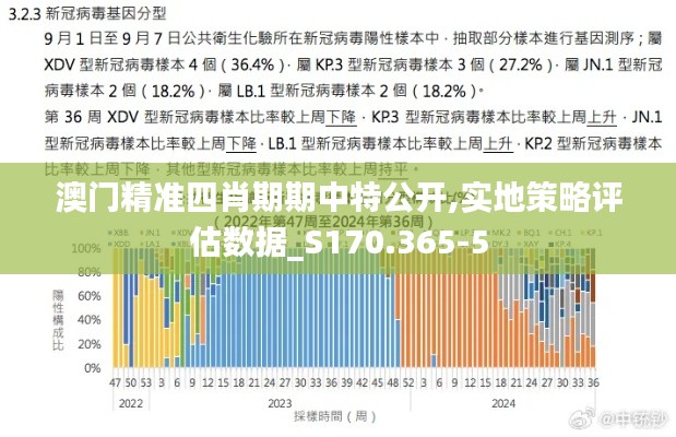 澳门精准四肖期期中特公开,实地策略评估数据_S170.365-5