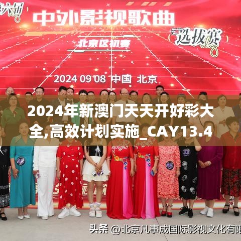 2024年新澳门天天开好彩大全,高效计划实施_CAY13.406零售版