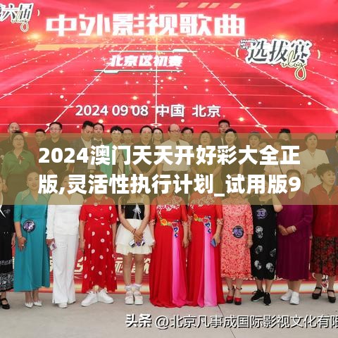 2024澳门天天开好彩大全正版,灵活性执行计划_试用版93.983-2