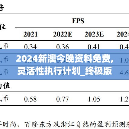 2024新澳今晚资料免费,灵活性执行计划_终极版3.624-3