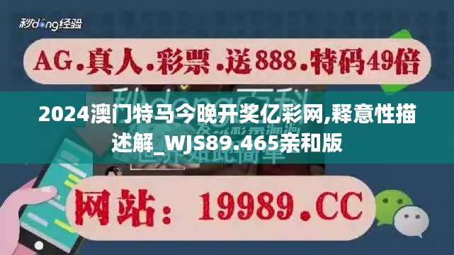 2024澳门特马今晚开奖亿彩网,释意性描述解_WJS89.465亲和版