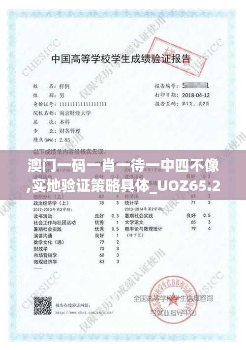 澳门一码一肖一待一中四不像,实地验证策略具体_UOZ65.212防御版