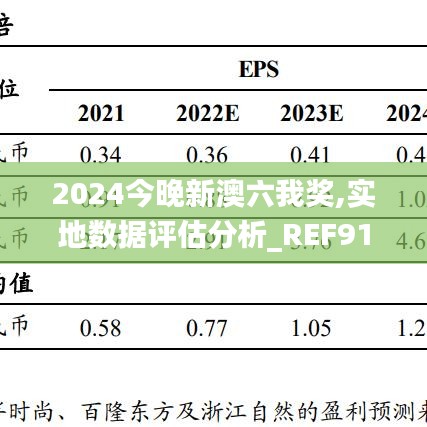 2024今晚新澳六我奖,实地数据评估分析_REF91.633家庭版