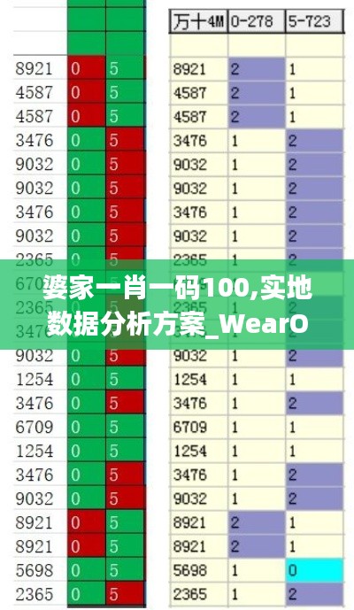 婆家一肖一码100,实地数据分析方案_WearOS72.163-1