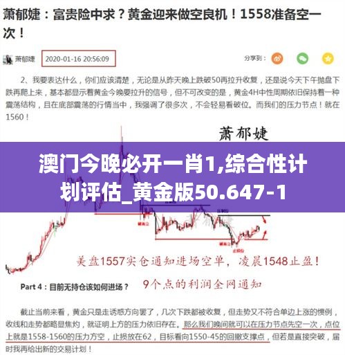 澳门今晚必开一肖1,综合性计划评估_黄金版50.647-1