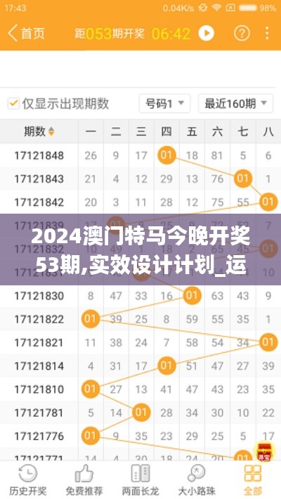 2024澳门特马今晚开奖53期,实效设计计划_运动版21.645-4