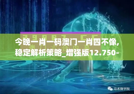 今晚一肖一码澳门一肖四不像,稳定解析策略_增强版12.750-6