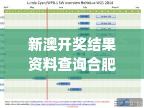 新澳开奖结果资料查询合肥,决策资料解析说明_WP34.992-7