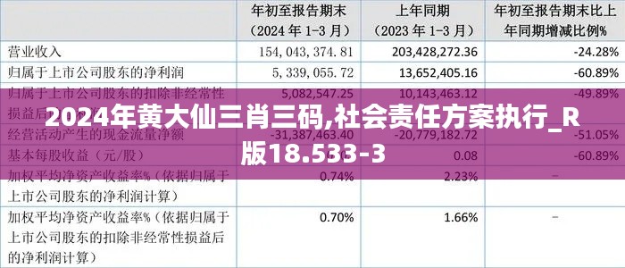 2024年黄大仙三肖三码,社会责任方案执行_R版18.533-3