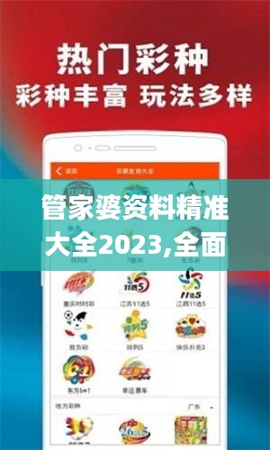 管家婆资料精准大全2023,全面计划执行_挑战版48.776-2