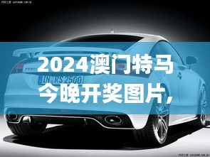 2024澳门特马今晚开奖图片,最新动态解答方案_桌面款65.134-9