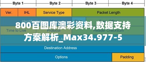 800百图库澳彩资料,数据支持方案解析_Max34.977-5