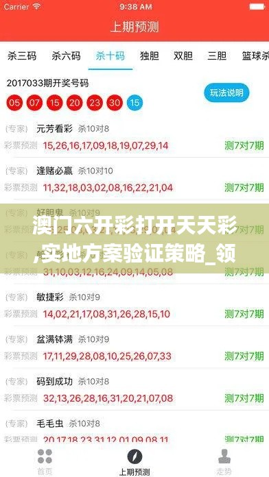 澳门六开彩打开天天彩,实地方案验证策略_领航版58.375-8