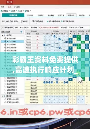 彩霸王资料免费提供,高速执行响应计划_理财版48.638-2