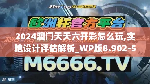 2024澳门天天六开彩怎么玩,实地设计评估解析_WP版8.902-5