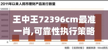 王中王72396cm最准一肖,可靠性执行策略_理财版26.885-9