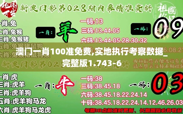 澳门一肖100准免费,实地执行考察数据_完整版1.743-6