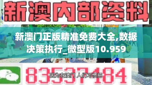 新澳门正版精准免费大全,数据决策执行_微型版10.959