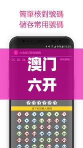 澳门六开奖最新开奖结果2024年,稳定执行计划_复刻版10.343