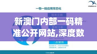 新澳门内部一码精准公开网站,深度数据解析应用_战略版80.750-6