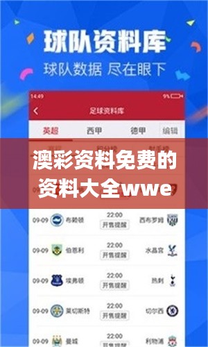 澳彩资料免费的资料大全wwe,准确资料解释定义_Executive17.889