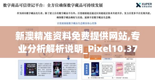 新澳精准资料免费提供网站,专业分析解析说明_Pixel10.375