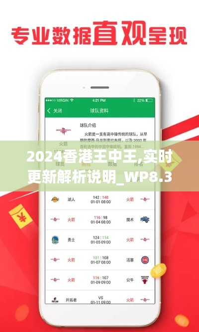 2024香港王中王,实时更新解析说明_WP8.353