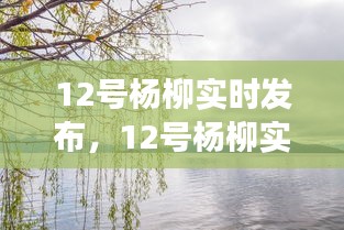 生态美景与人文情怀交融，最新杨柳更新实时报道