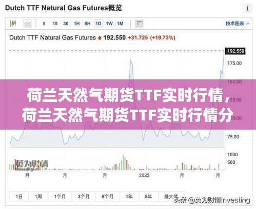 荷兰天然气期货TTF实时行情分析与市场洞察揭秘天然气市场走势