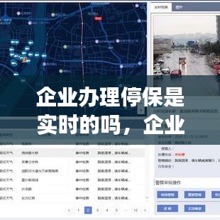 企业办理停保业务的实时性解析及流程详解