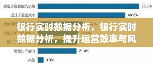 银行实时数据分析，提升运营效率与风险管理能力的核心策略