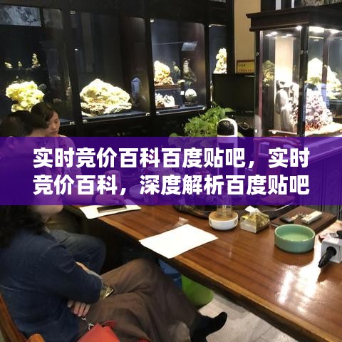 百度贴吧实时竞价百科深度解析，竞价机制与应用策略