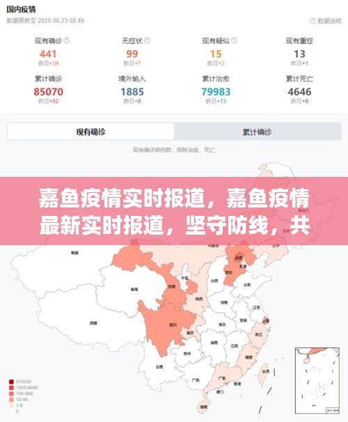 嘉鱼疫情最新实时报道，坚守防线，共克时艰